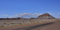 1104-PetrifiedForest