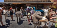 1805-Oatman