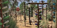 Bottle Tree Ranch