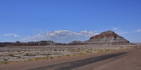 Petrified Forest1