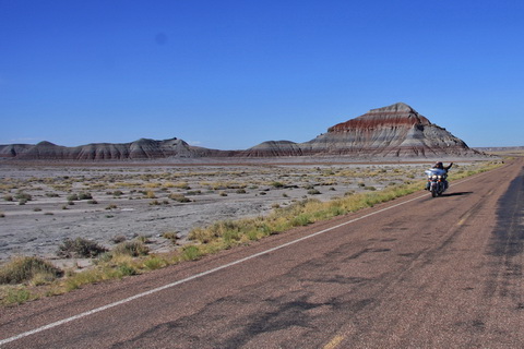 071 PetriefiedForest